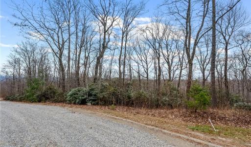 Photo #3 of TBD W Pheasant Chase, Ararat, VA 2.5 acres