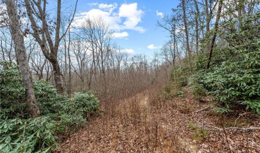Photo #5 of TBD W Pheasant Chase, Ararat, VA 2.5 acres