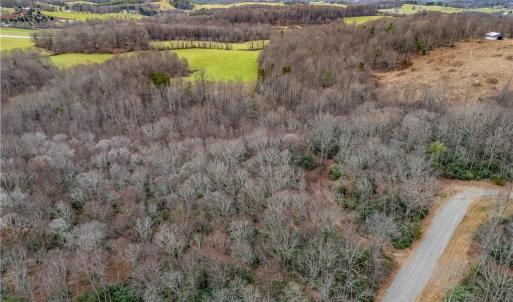 Photo #20 of TBD W Pheasant Chase, Ararat, VA 2.5 acres