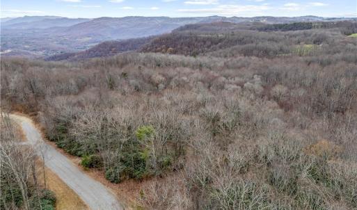 Photo #10 of TBD W Pheasant Chase, Ararat, VA 2.5 acres