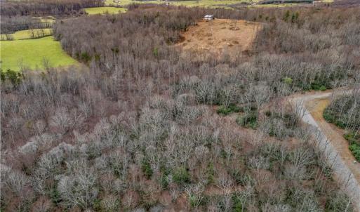 Photo #18 of TBD W Pheasant Chase, Ararat, VA 2.5 acres