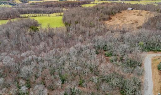 Photo #19 of TBD W Pheasant Chase, Ararat, VA 2.5 acres