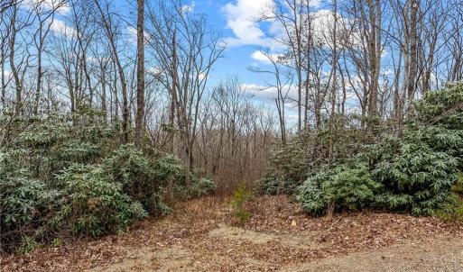 Photo #4 of TBD W Pheasant Chase, Ararat, VA 2.5 acres