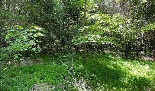 Photo #3 of Thompson, Graham, NC 14.9 acres