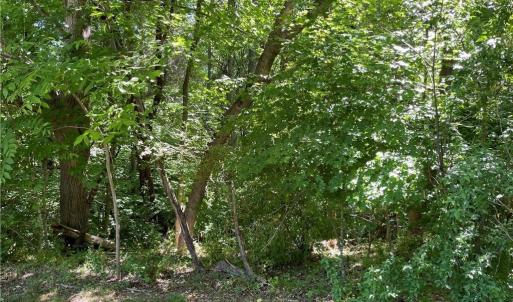Photo #8 of Thompson, Graham, NC 14.9 acres