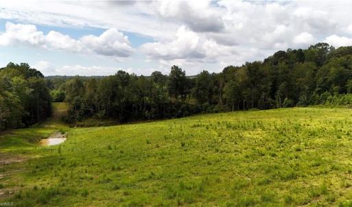 Photo #10 of Inman, Pilot Mountain, NC 17.0 acres