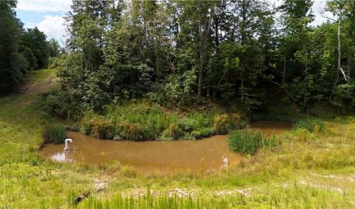 Photo #14 of Inman, Pilot Mountain, NC 17.0 acres