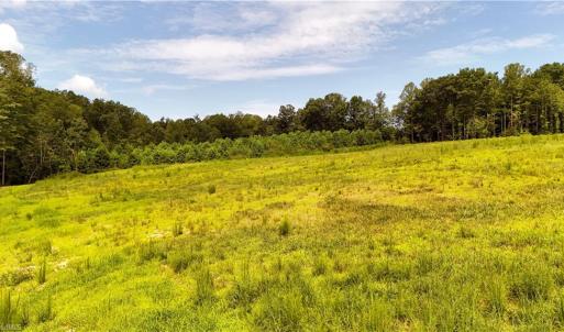 Photo #15 of Inman, Pilot Mountain, NC 17.0 acres