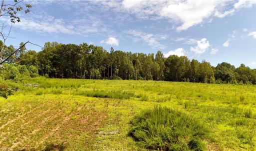 Photo #11 of Inman, Pilot Mountain, NC 17.0 acres