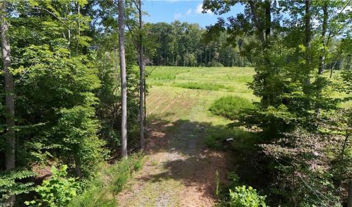 Photo #4 of Inman, Pilot Mountain, NC 17.0 acres