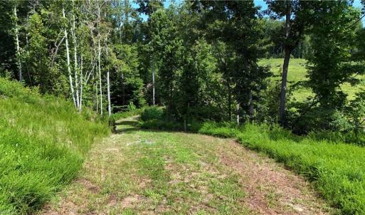 Photo #8 of Inman, Pilot Mountain, NC 17.0 acres