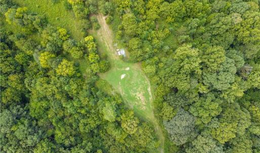 Photo #2 of 205 Alex Hayes, Clemmons, NC 29.2 acres