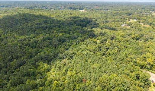 Photo #3 of 205 Alex Hayes, Clemmons, NC 29.2 acres