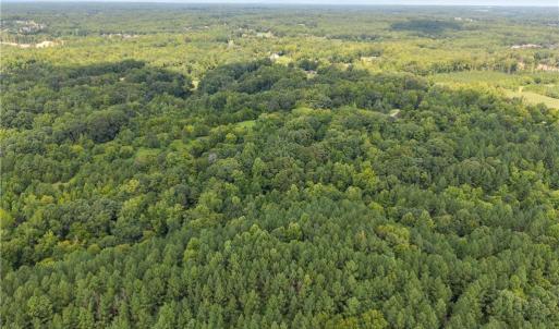 Photo #4 of 205 Alex Hayes, Clemmons, NC 29.2 acres