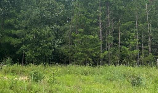Photo #13 of NC Highway 49, Mebane, NC 8.2 acres