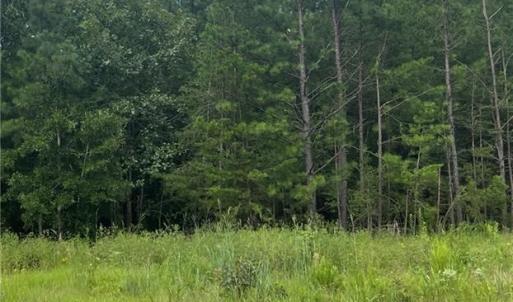 Photo #12 of NC Highway 49, Mebane, NC 8.2 acres