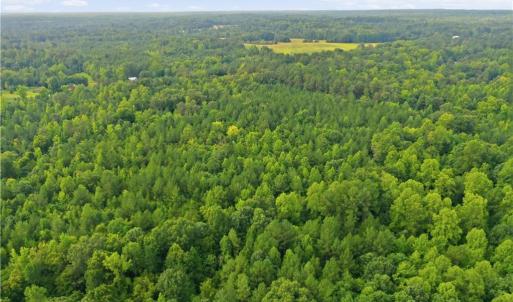 Photo #9 of NC Highway 49, Mebane, NC 8.2 acres
