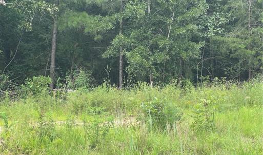 Photo #4 of NC Highway 49, Mebane, NC 8.2 acres