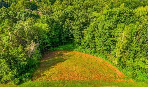 Photo #9 of 163 Emily, High Point, NC 3.3 acres