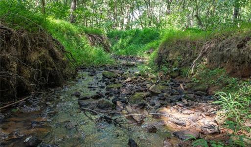 Photo #2 of 8942 Spearman, Reidsville, NC 453.0 acres