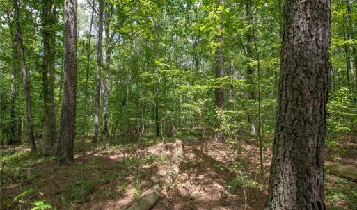 Photo #42 of 8942 Spearman, Reidsville, NC 453.0 acres