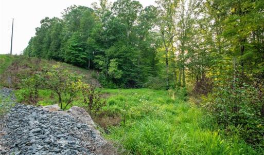 Photo #46 of 8942 Spearman, Reidsville, NC 453.0 acres
