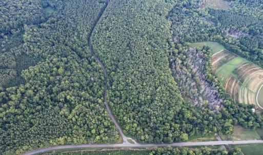 Photo #13 of 8942 Spearman, Reidsville, NC 453.0 acres