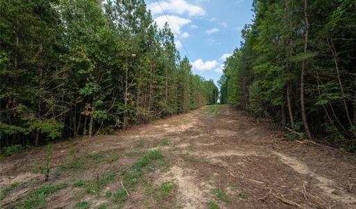Photo #47 of 8942 Spearman, Reidsville, NC 453.0 acres