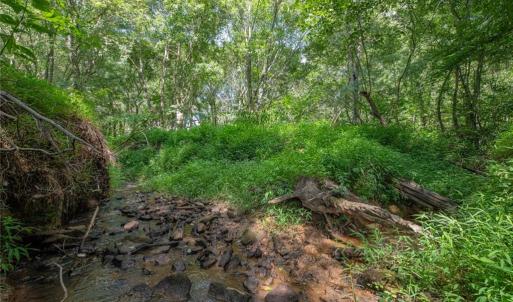Photo #43 of 8942 Spearman, Reidsville, NC 453.0 acres