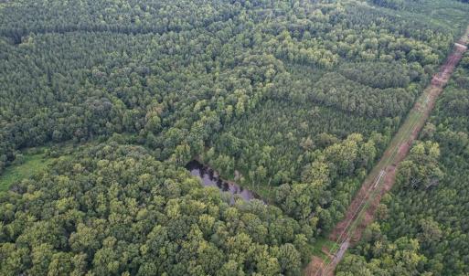 Photo #16 of 8942 Spearman, Reidsville, NC 453.0 acres