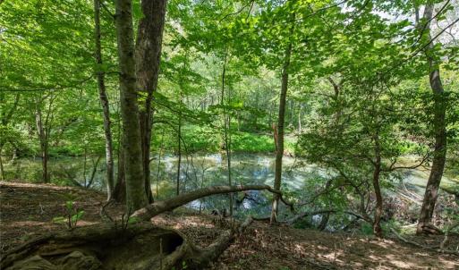 Photo #26 of 8942 Spearman, Reidsville, NC 453.0 acres