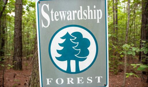 Photo #7 of 8942 Spearman, Reidsville, NC 453.0 acres