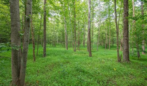 Photo #32 of 8942 Spearman, Reidsville, NC 453.0 acres