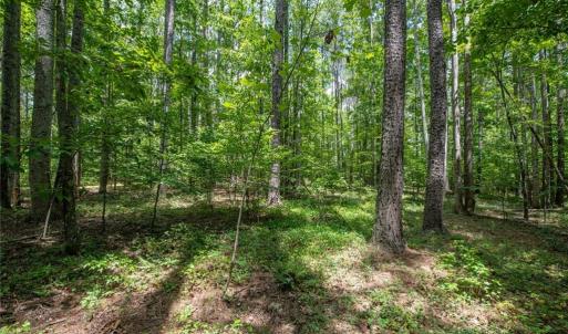 Photo #24 of 8942 Spearman, Reidsville, NC 453.0 acres