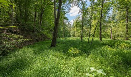 Photo #30 of 8942 Spearman, Reidsville, NC 453.0 acres