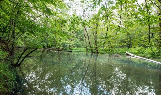 Photo #10 of 8942 Spearman, Reidsville, NC 453.0 acres