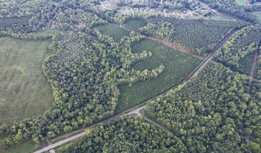 Photo #14 of 8942 Spearman, Reidsville, NC 453.0 acres