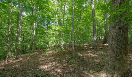 Photo #45 of 8942 Spearman, Reidsville, NC 453.0 acres