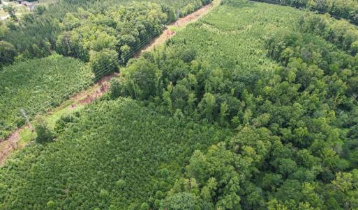 Photo #18 of 8942 Spearman, Reidsville, NC 453.0 acres