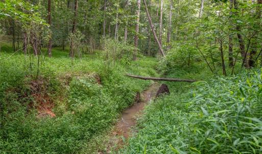 Photo #37 of 8942 Spearman, Reidsville, NC 453.0 acres