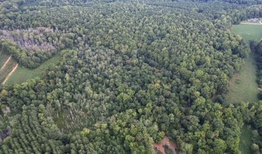 Photo #15 of 8942 Spearman, Reidsville, NC 453.0 acres