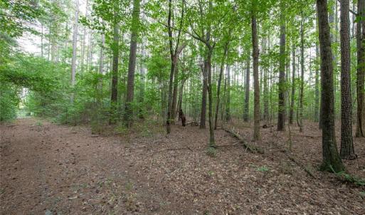 Photo #48 of 8942 Spearman, Reidsville, NC 453.0 acres