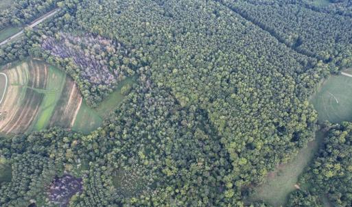 Photo #19 of 8942 Spearman, Reidsville, NC 453.0 acres