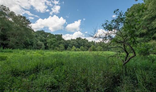 Photo #44 of 8942 Spearman, Reidsville, NC 453.0 acres