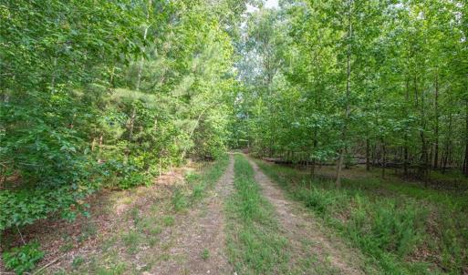 Photo #40 of 8942 Spearman, Reidsville, NC 453.0 acres