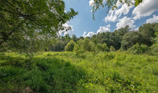 Photo #31 of 8942 Spearman, Reidsville, NC 453.0 acres