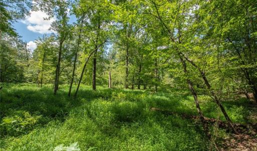 Photo #39 of 8942 Spearman, Reidsville, NC 453.0 acres