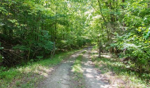 Photo #29 of 8942 Spearman, Reidsville, NC 453.0 acres