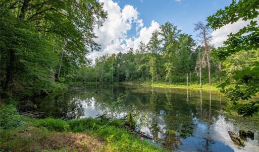 Photo #4 of 8942 Spearman, Reidsville, NC 453.0 acres