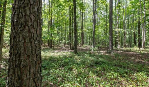 Photo #25 of 8942 Spearman, Reidsville, NC 453.0 acres